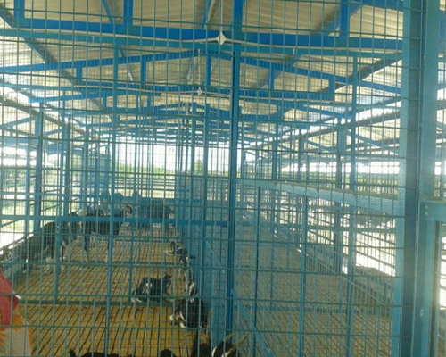 Goat Farm Manufacturers in Kochi